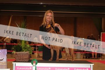 124188 _tl_02_IMG_9559.JPG