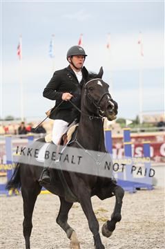 152762_nn _05_IMG_7499.JPG