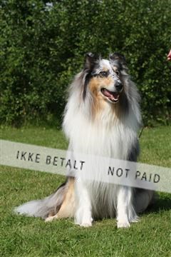 130370_se_03_IMG_7554.JPG