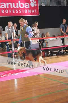 6068_ma_05_IMG_5992.JPG