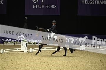 182194_kbb_01_Z094916.JPG