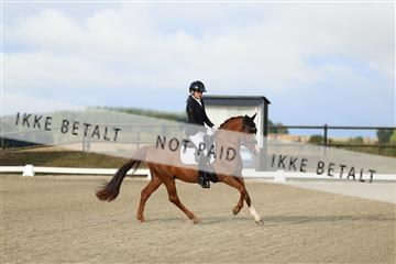 181894_mtp_04_R62_3091.JPG