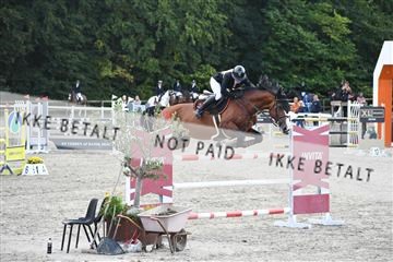 172734_akl_01_AKL_7500.JPG