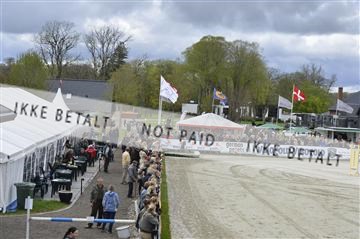 139644_abo_12__AB16440.JPG