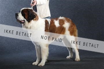 132082_le_ 01_IMG_0748.JPG