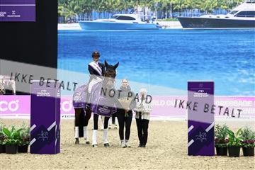 182194_avh_07_4588.JPG