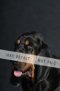 132082_le_ 01_IMG_0842.JPG