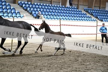 181754_kbb_01_Z092959.JPG