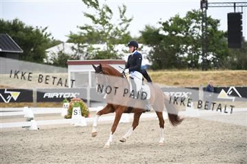 166078_kuo_02_D05_0050.JPG