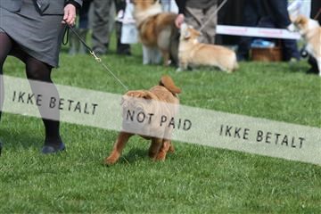 134871_ms_02_IMG_3459.JPG