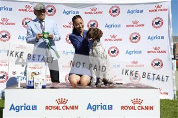 181564_ch_01__62_9655.JPG
