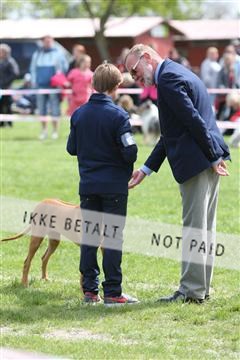 134871_ms_04_IMG_0172.JPG