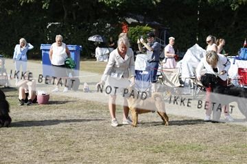 181848_kar_01__62_2710.JPG