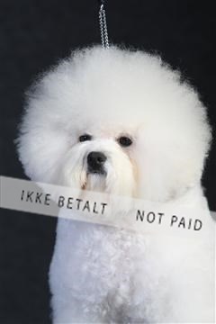 132082_le_ 01_IMG_0202.JPG