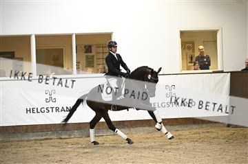 181738_kbb_01_Z099076.JPG