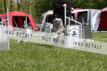 134871_ms_02_IMG_2880.JPG