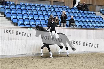 182241_kbb_01_Z095033.JPG