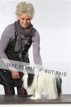 126168_LE_01__0356.JPG