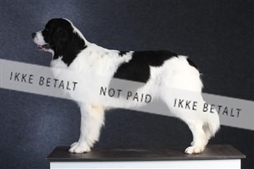 132082_le_ 01_IMG_0571.JPG