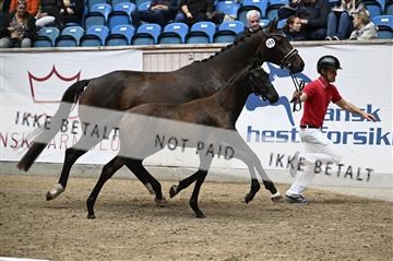 181957_kbb_01_Z097361.JPG