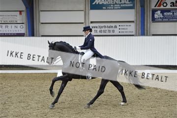 140040_abo_02__AB19460.JPG