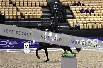 182194_kbb_03_Z099864.JPG