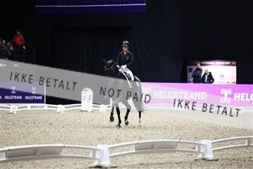 182194_avh_07_3826.JPG