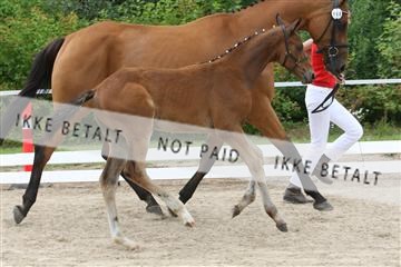 125406_TBJ_01_IMG_1379.JPG