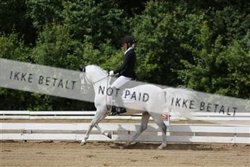 156196_nn_01_IMG_5852.JPG