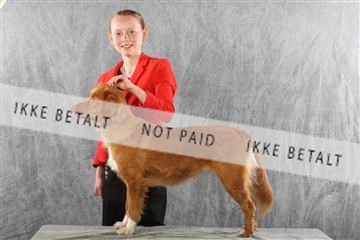 129608_le_ 02_0372.JPG