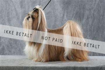 128239_le_kort_ 01_0378.JPG