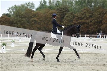 181923_mtp_03_R62_7868.JPG