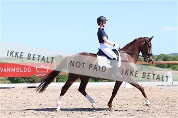 181449_bc_01R62_5762.JPG