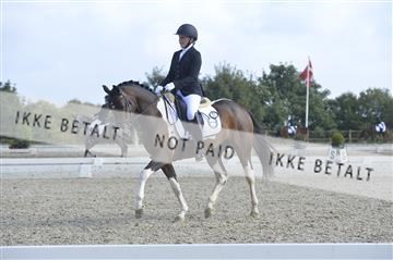 169624_kbb_01__KBB8471.JPG