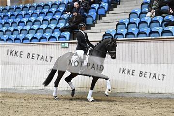 182241_kbb_01_Z094164.JPG