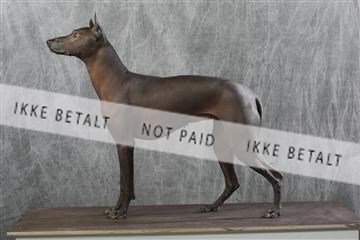 129608_le_ 01_0265.JPG