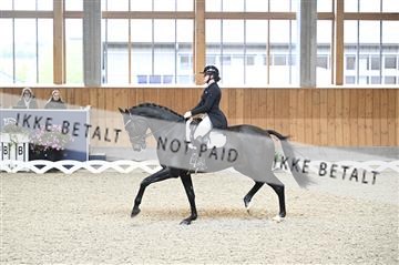 182176_kbb_01_Z094461.JPG