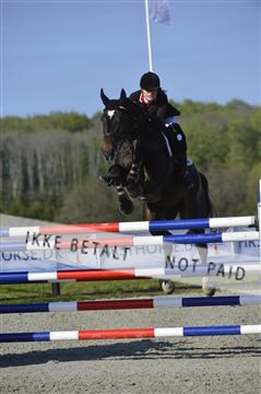 139644_abo_02__AB14840.JPG
