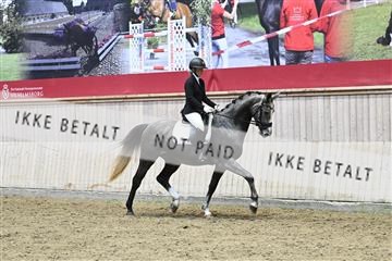 182241_kbb_01_Z093515.JPG