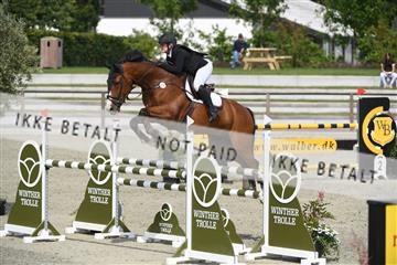 169152_abo_01_D05_0741.JPG