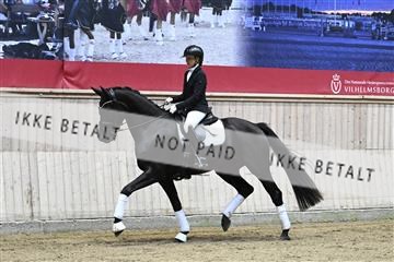 182241_kbb_01_Z094031.JPG