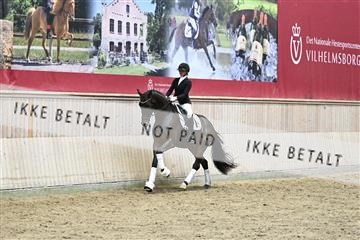 182241_kbb_01_Z093862.JPG