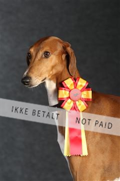 132082_le_ 01_IMG_0074.JPG