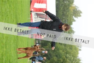 182009_rin_02_R62_2326.JPG