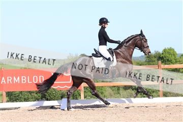 181449_bc_01R62_6171.JPG