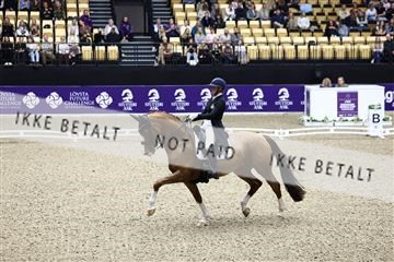 182194_avh_05_2881.JPG