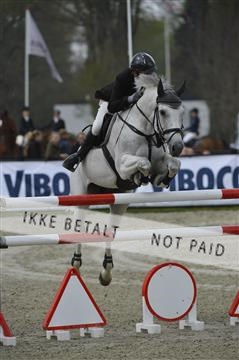 139644_abo_01__AB14115.JPG