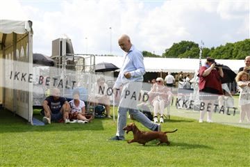 181564_kar_01__62_6871.JPG