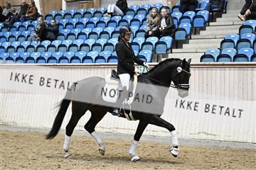 182241_kbb_01_Z093902.JPG