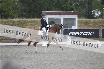 166078_rhj_01__J7R4016.JPG